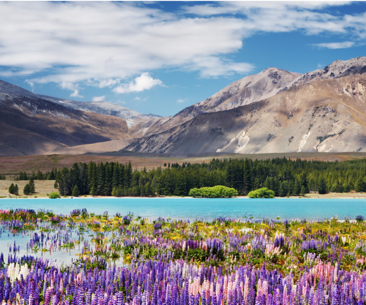 Mountains and a lake in New Zealand